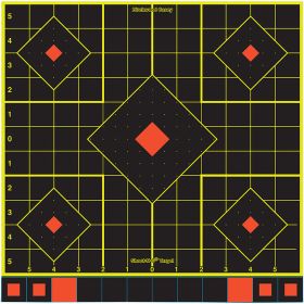 Birchwood Casey Shoot-n-c Target Sight-in 12 In. 5 Pk.