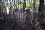 Folding Blind with bag + Ghillie Blind Cover