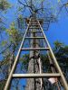 HANGTIME LADDER CLIMBING SYSTEM